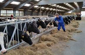 Square Brothers Animal Genetics